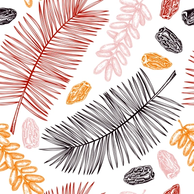 Vector dates seamless pattern. Palm leaves and dried fruits illustrations in engraved style. Hand drawn vegan food background in sketch style. Dried dates design